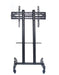 Wolff Mount TVB-44 – Universele TV vloersteun voor schermen tot 70 inch [Laag model]