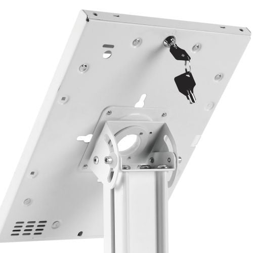 Wolff Mount TVB-138 Tablet Desk Standaard – chiosco antitaccheggio per iPad e tablet Samsung
