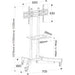 Wolff Mount TVB-44 – Universele TV vloersteun voor schermen tot 70 inch [Laag model]