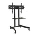 Wolff Mount TVB-44 – Universele TV vloersteun voor schermen tot 70 inch [Laag model]